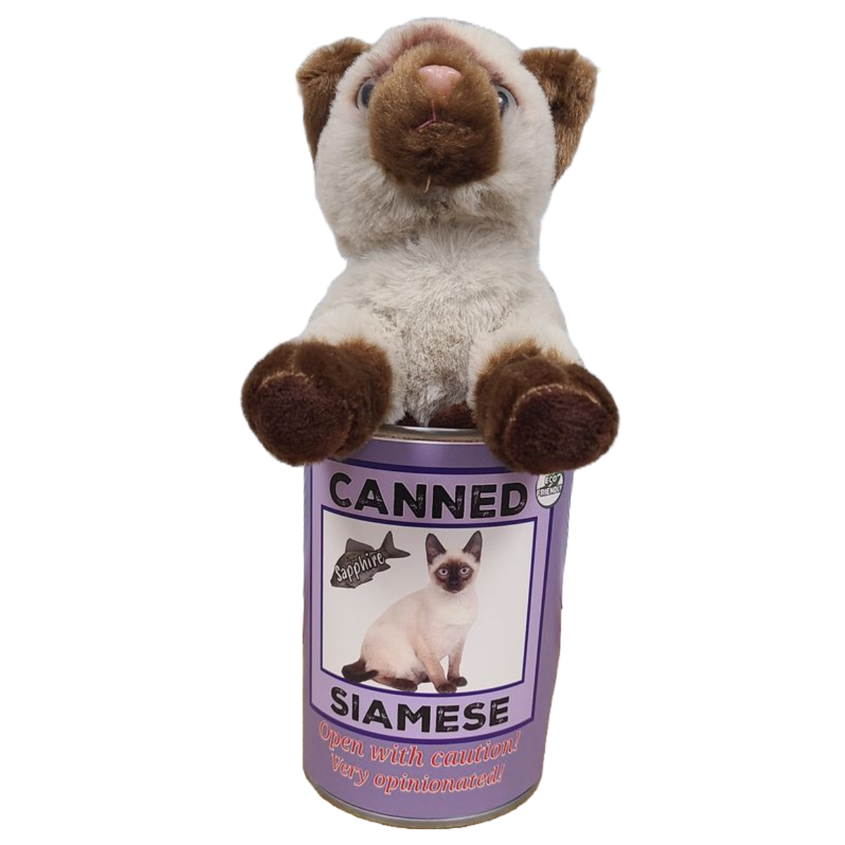 Sapphire the Canned Siamese