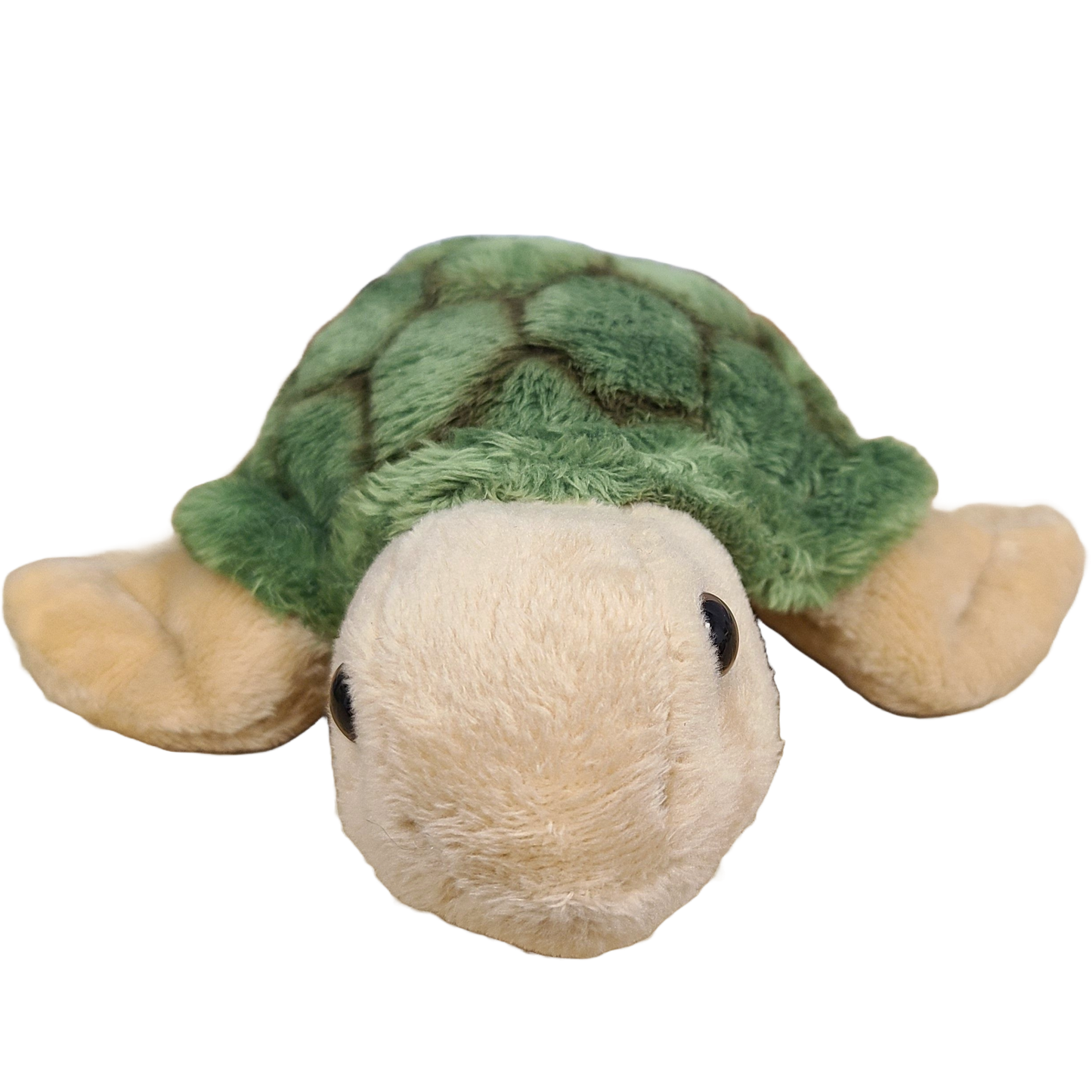 Canned Gifts - Charlie the Canned Sea Turtle