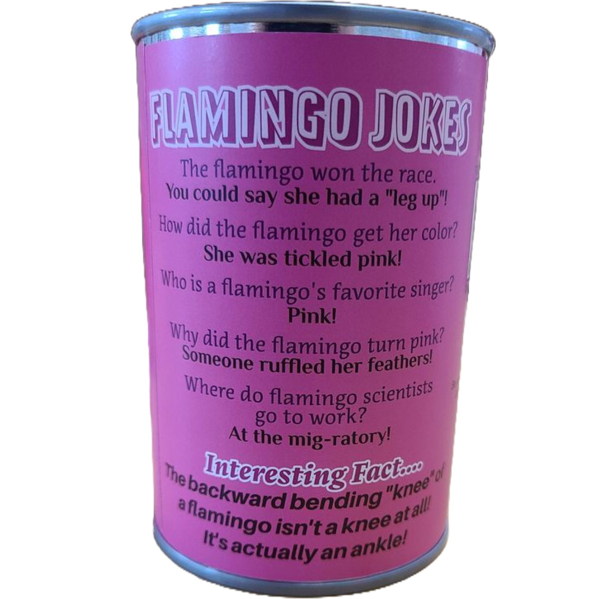 Canned Gifts - Rosy the Canned Flamingo