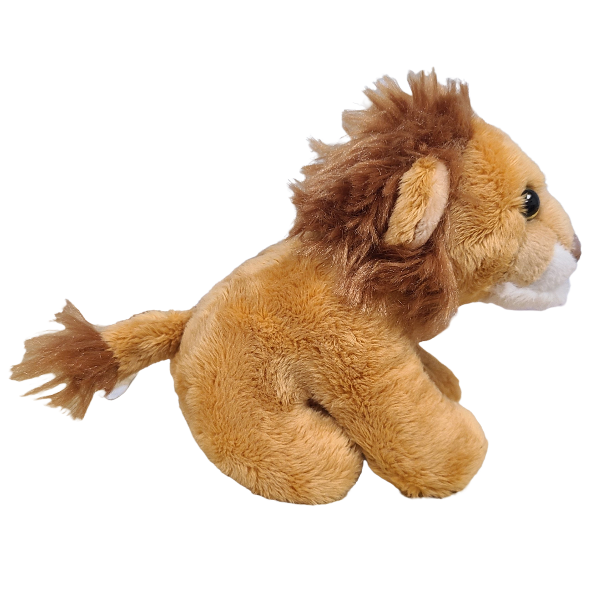 Apollo the Canned Lion