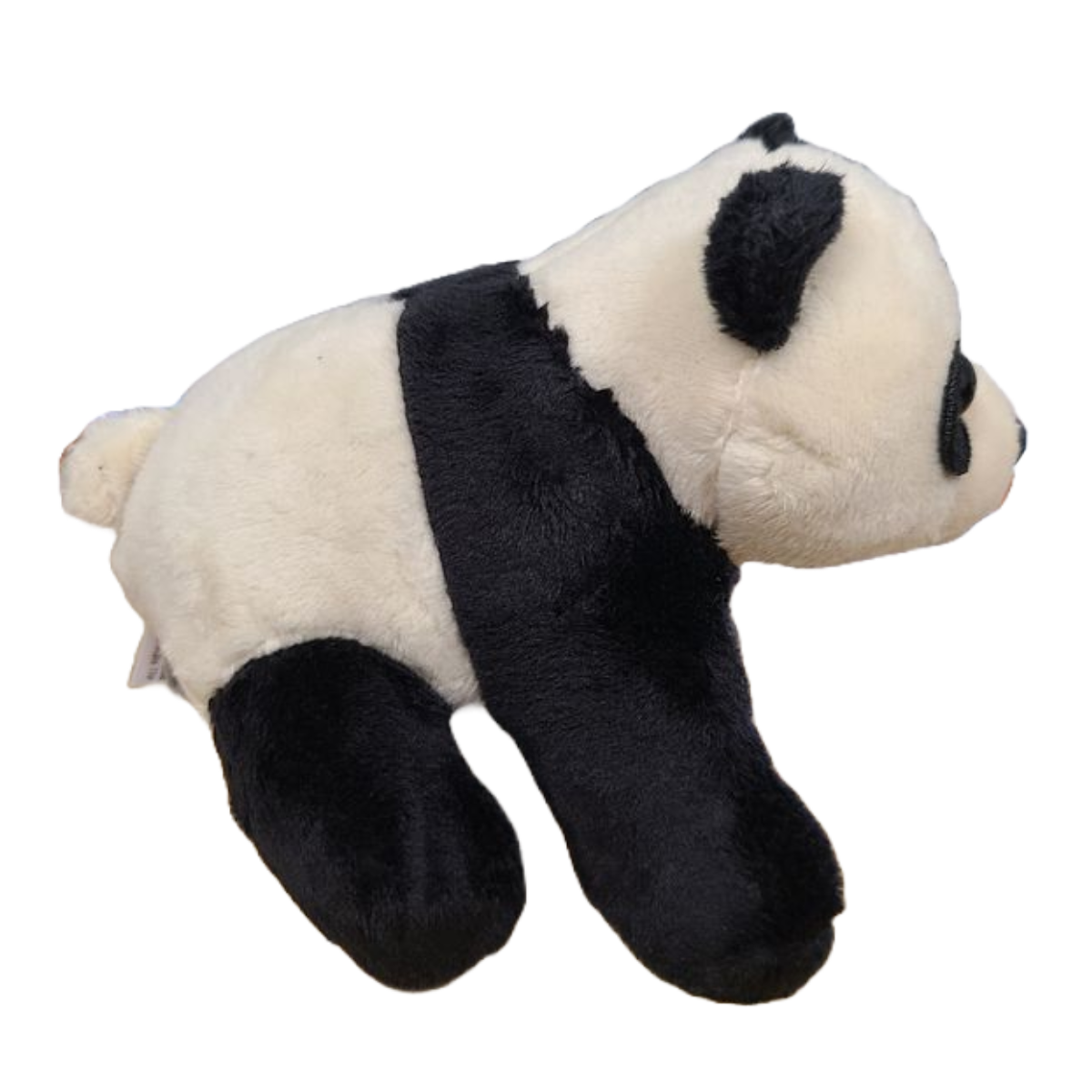 Canned Gifts -Chubbs the Canned Panda