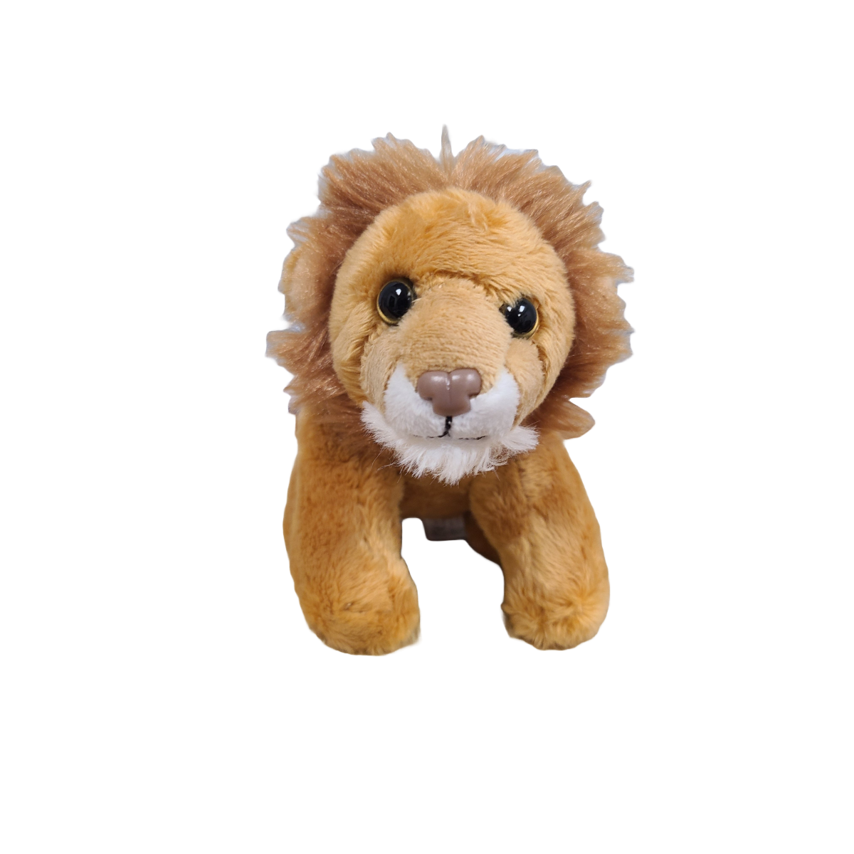 Apollo the Canned Lion