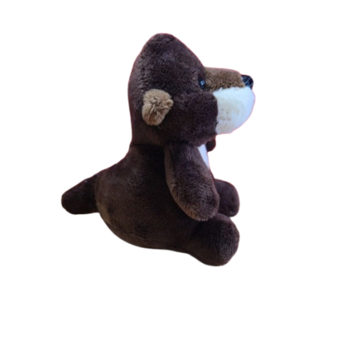 Otis the Canned Otter