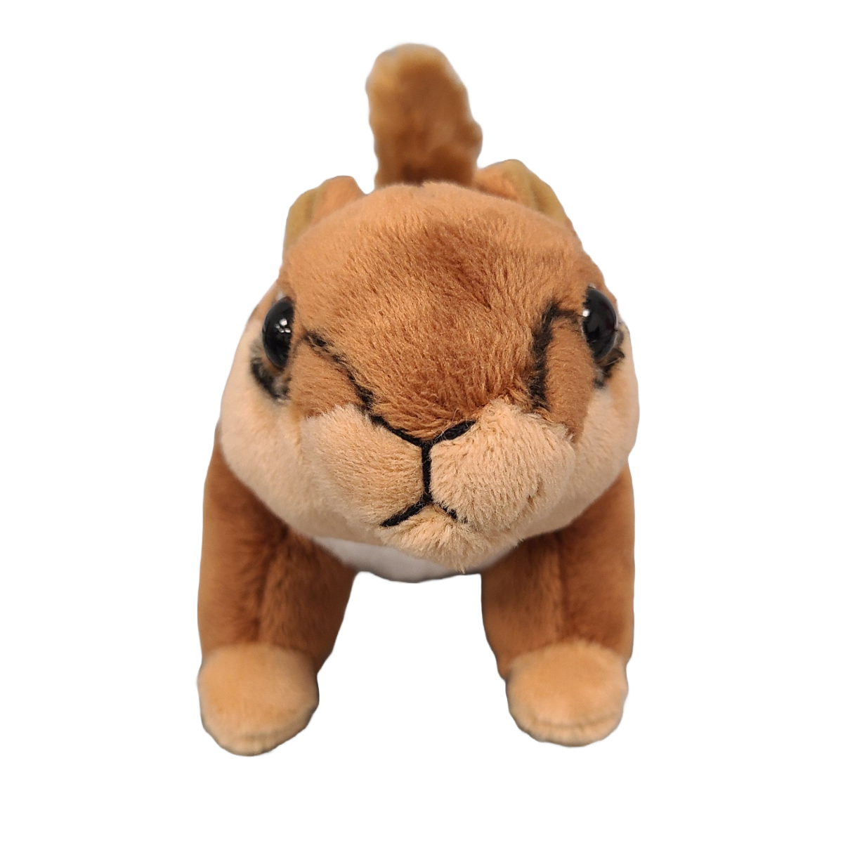 Peanut the Canned Chipmunk