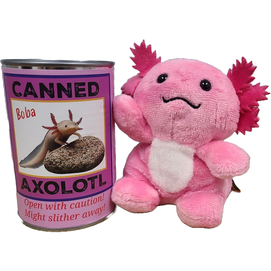 Canned Gifts - Boba the Canned Axolotl