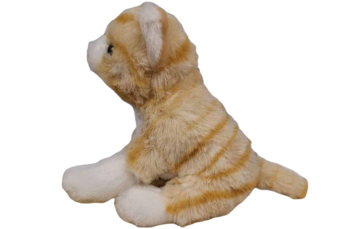 Canned Gifts - Pumpkin the Canned Orange Tabby Cat
