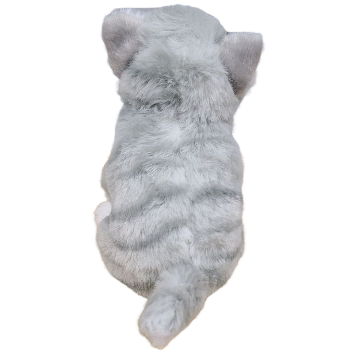 Canned Gifts - Pearl the Canned Gray Tabby
