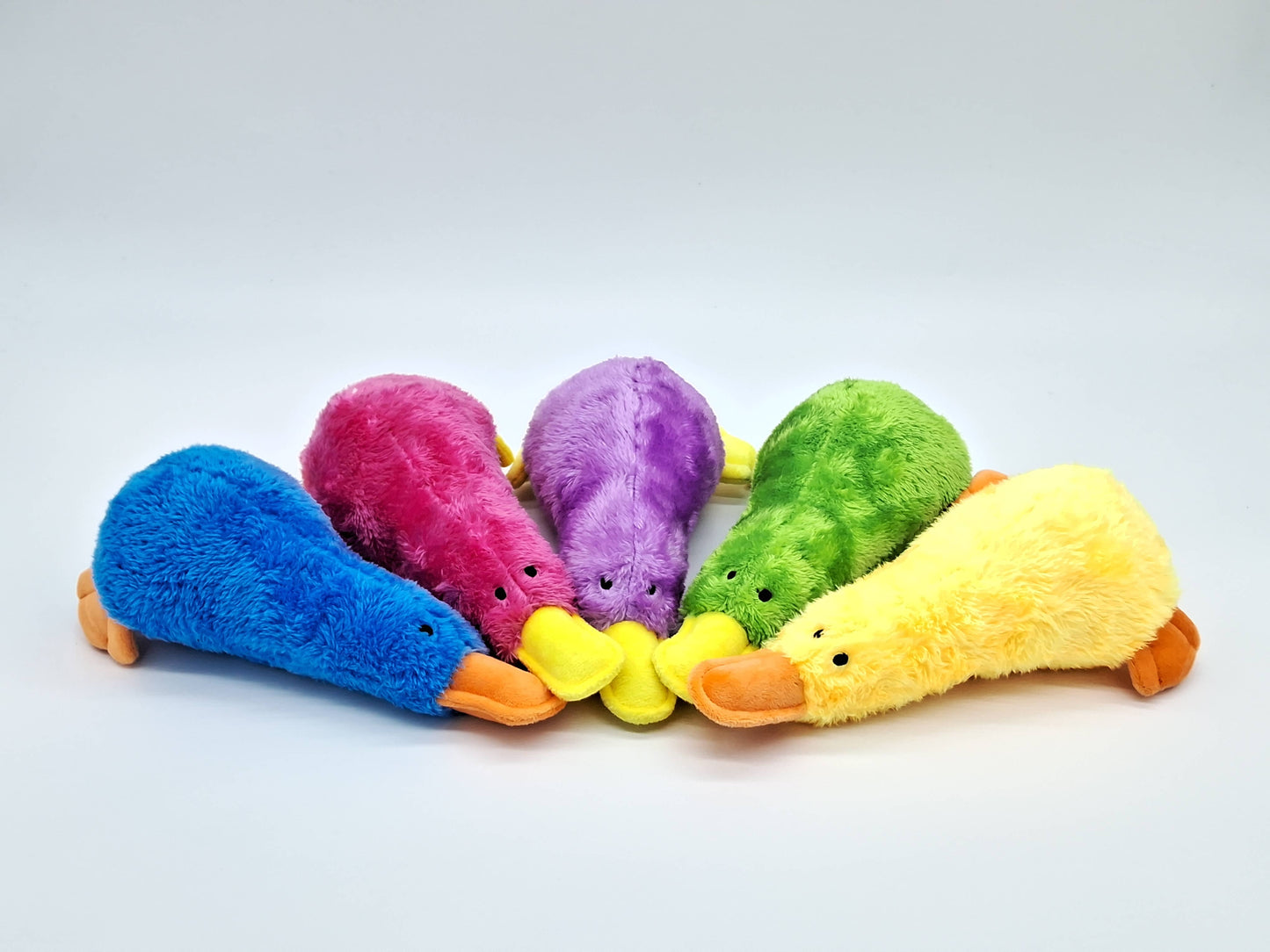 Toys N Treats Box - Platz the Platypus Plush Pet Toy for Cats/Dogs: Green
