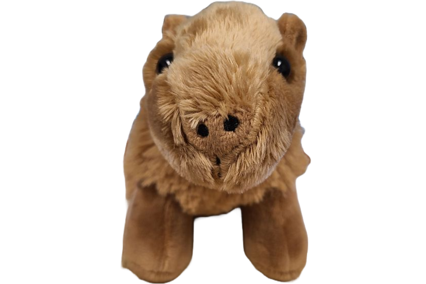 Canned Gifts - Steve the Canned Capybara