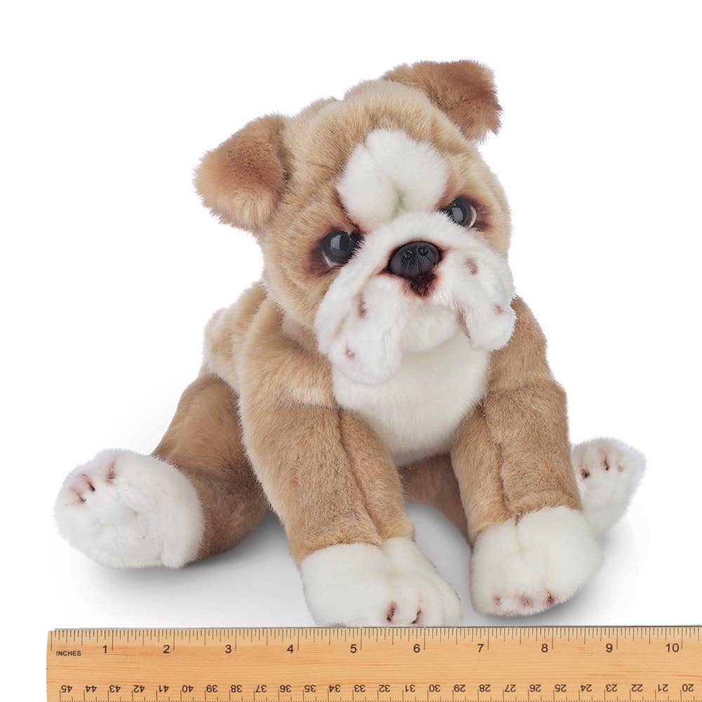 Bearington Collection - Tug the Bulldog