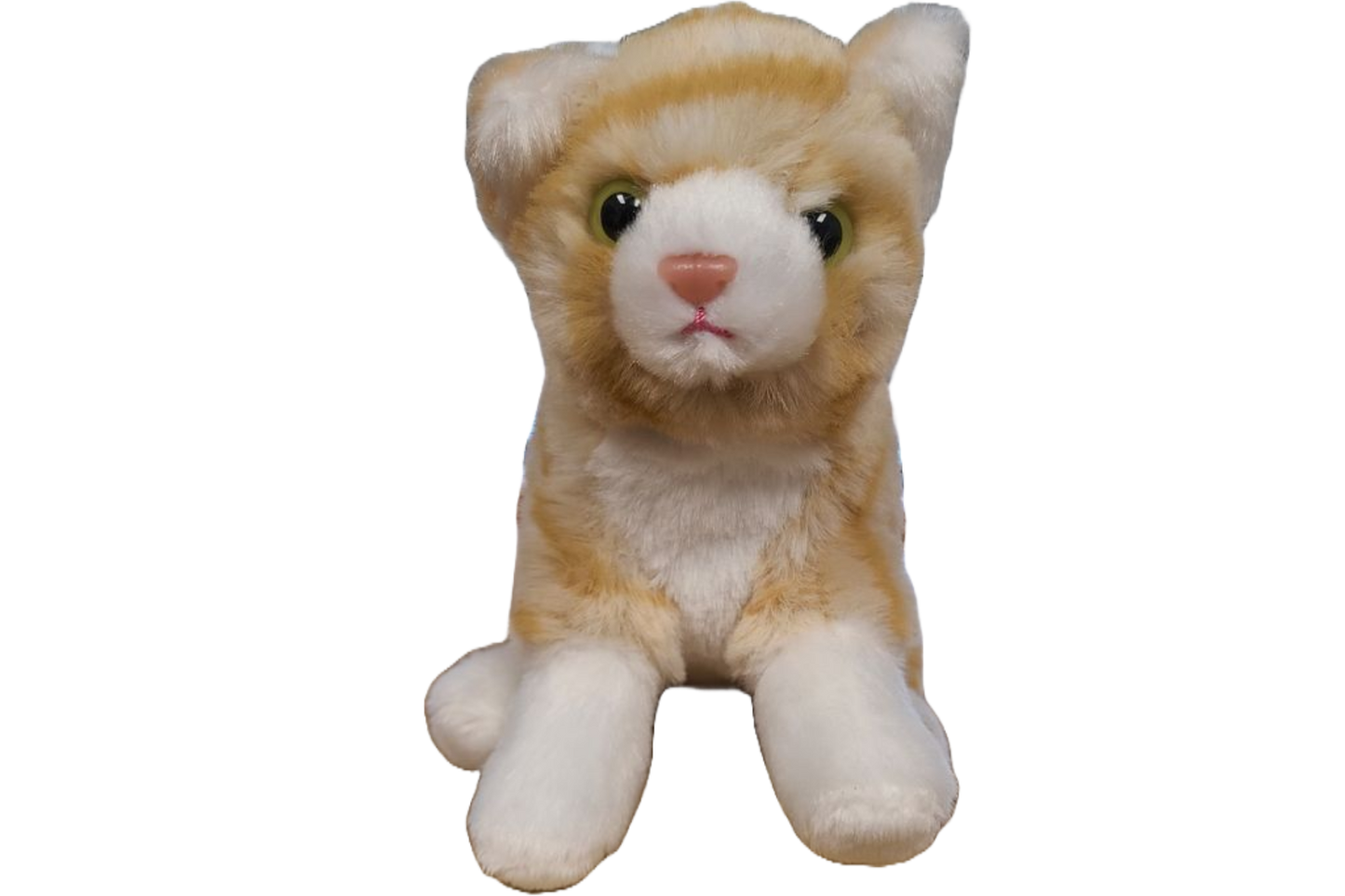 Canned Gifts - Pumpkin the Canned Orange Tabby Cat