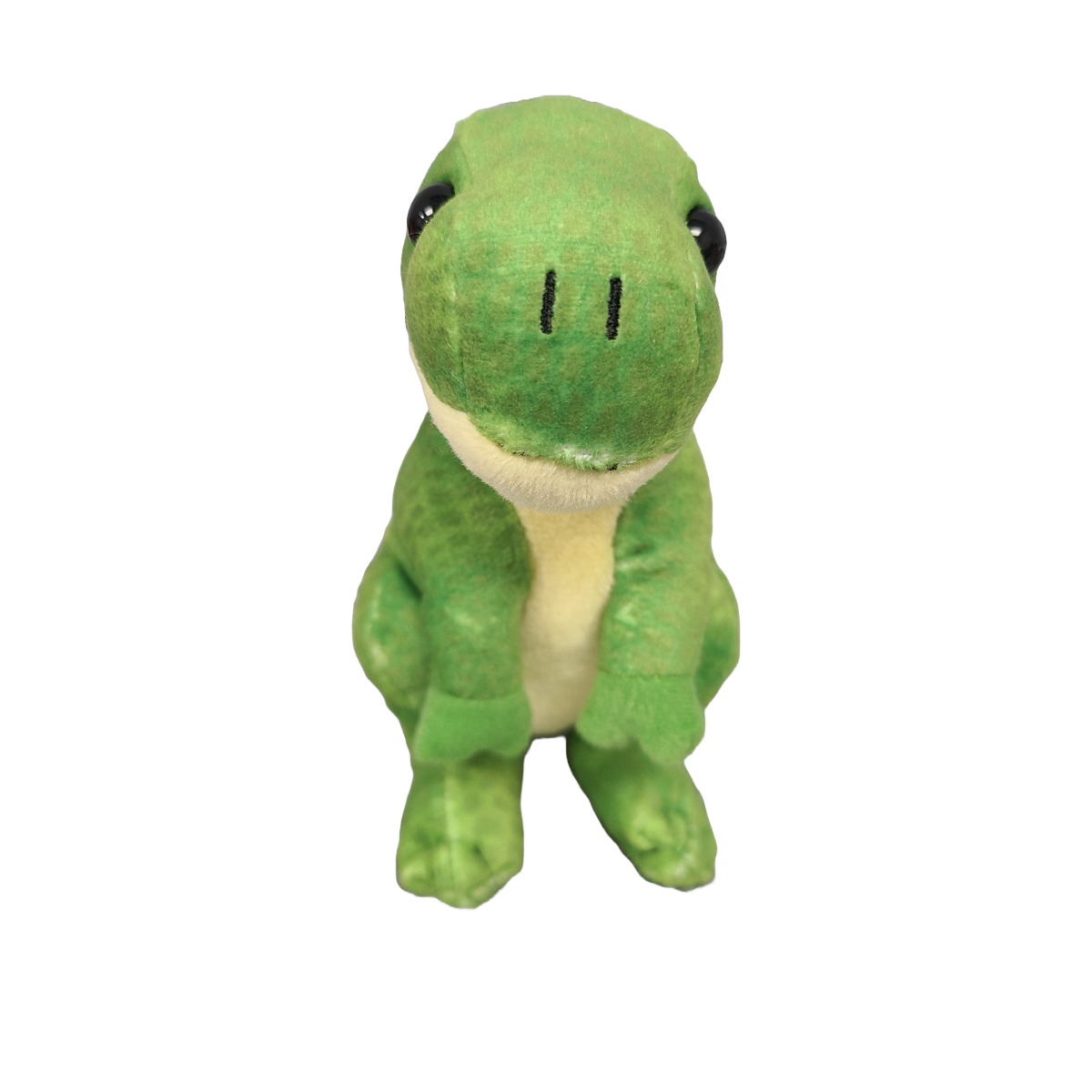 Canned Gifts - Rumble the Canned T-Rex Dinosaur