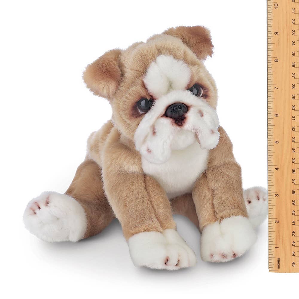 Bearington Collection - Tug the Bulldog