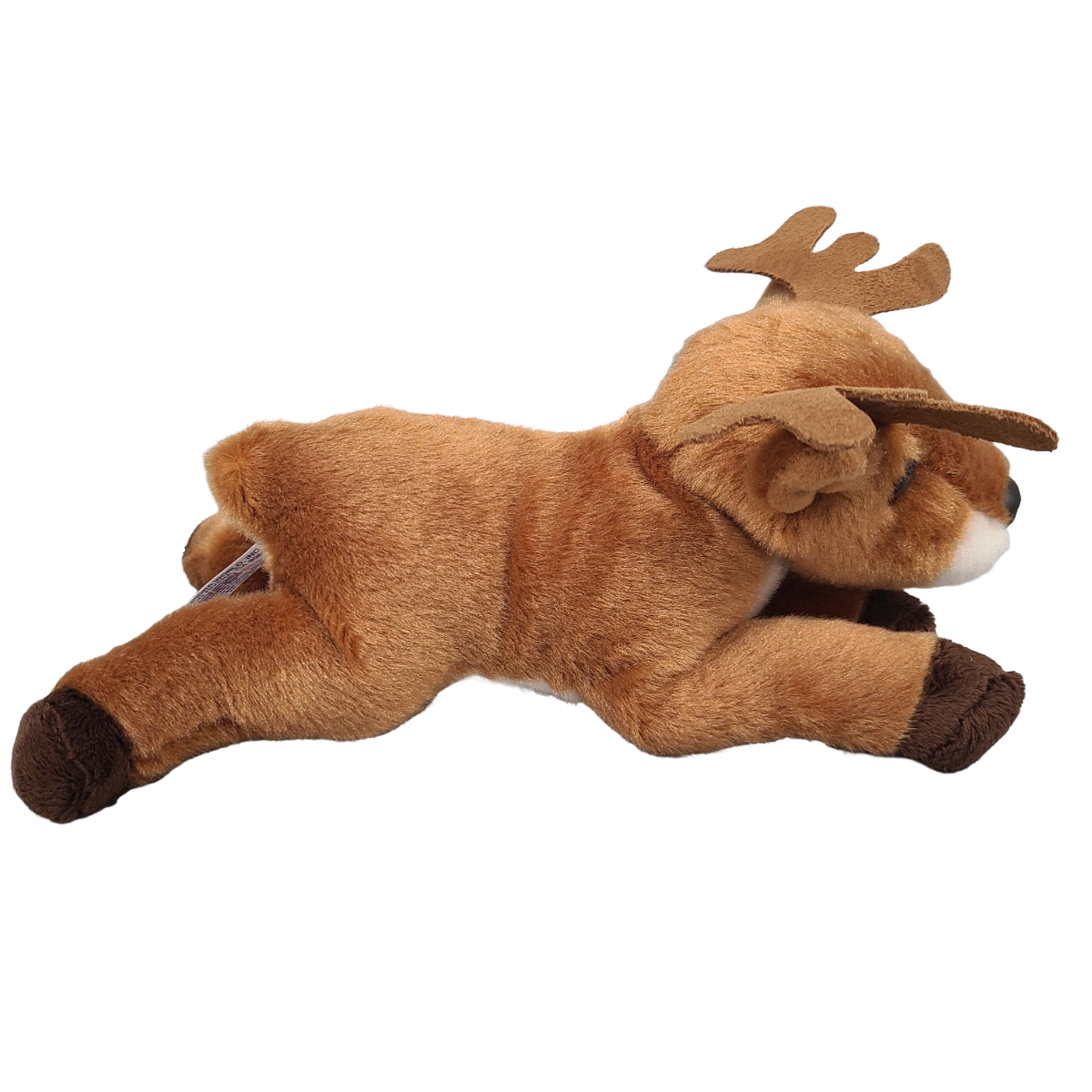 Finn the Canned Deer