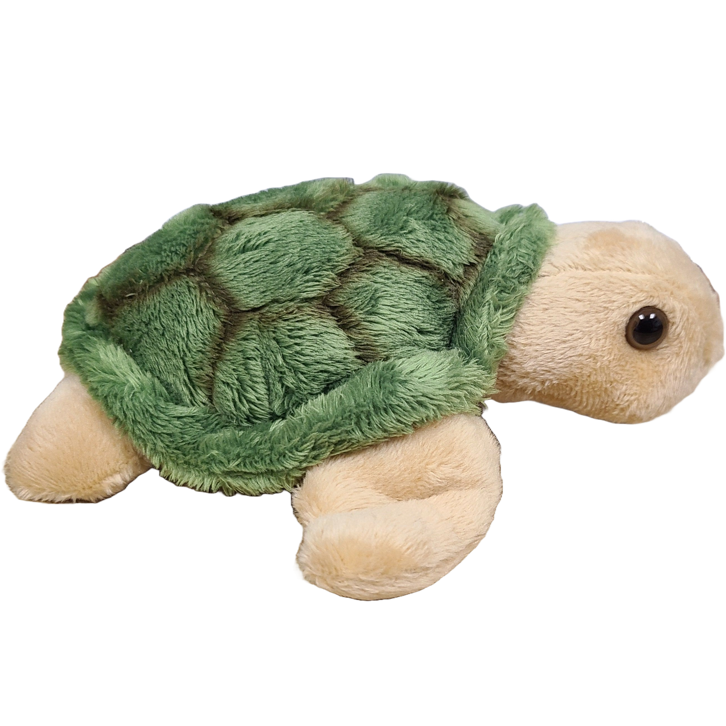 Canned Gifts - Charlie the Canned Sea Turtle