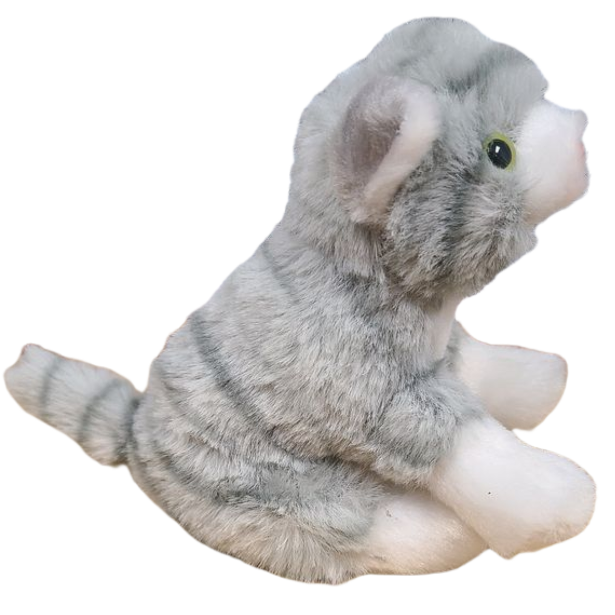 Canned Gifts - Pearl the Canned Gray Tabby