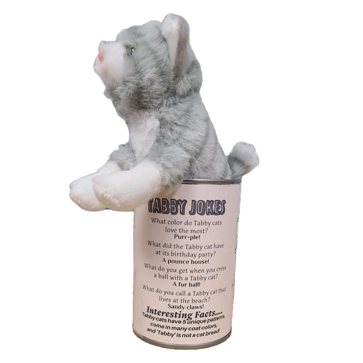 Canned Gifts - Pearl the Canned Gray Tabby