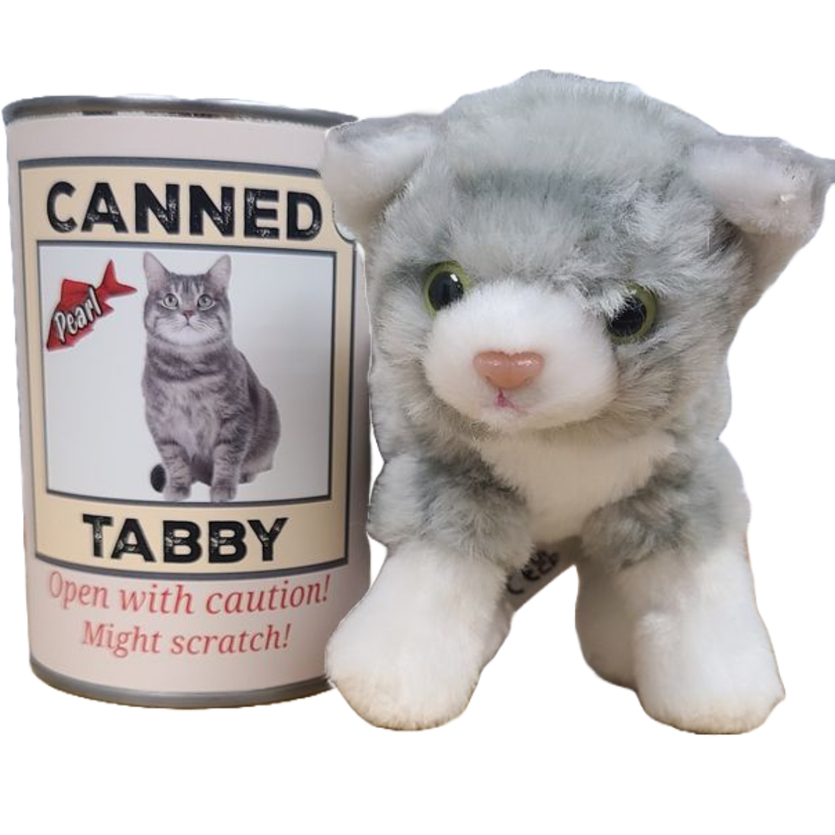 Canned Gifts - Pearl the Canned Gray Tabby