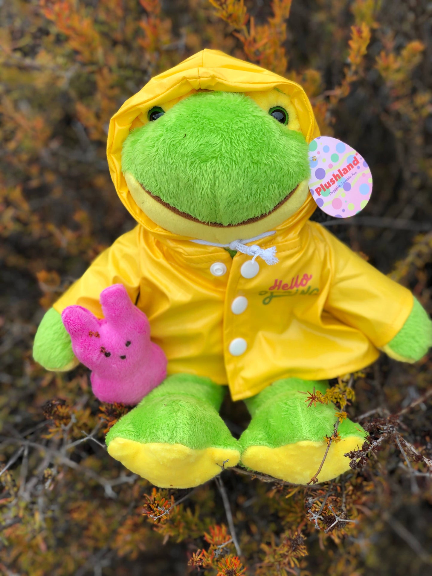 Easter Collection - Frog in a Raincoat Holding a Peep