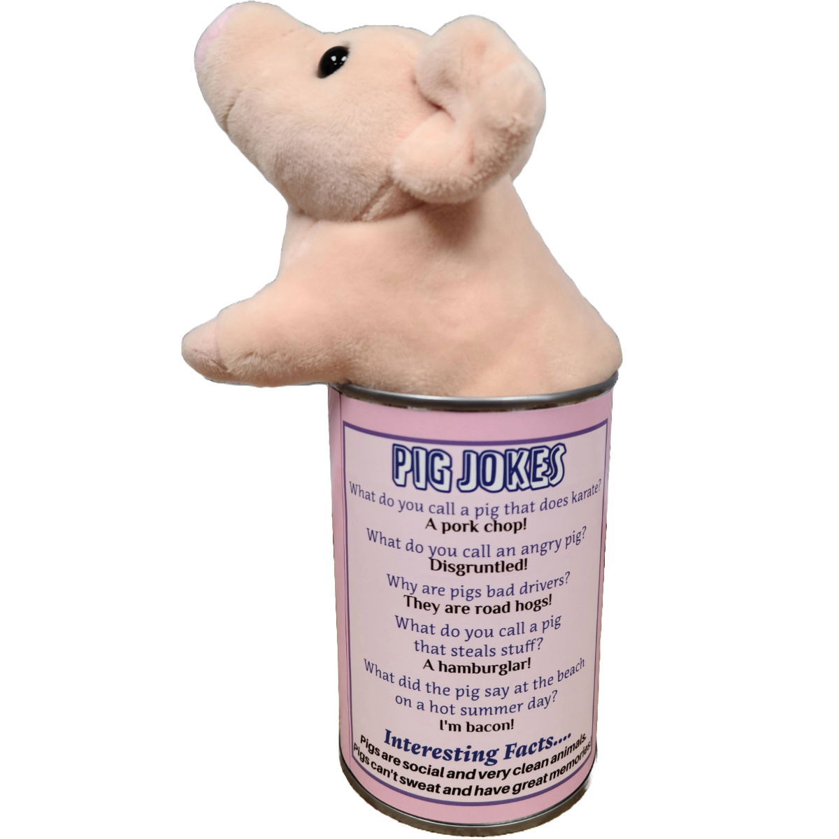 Canned Gifts - Cupcake the Canned Pig