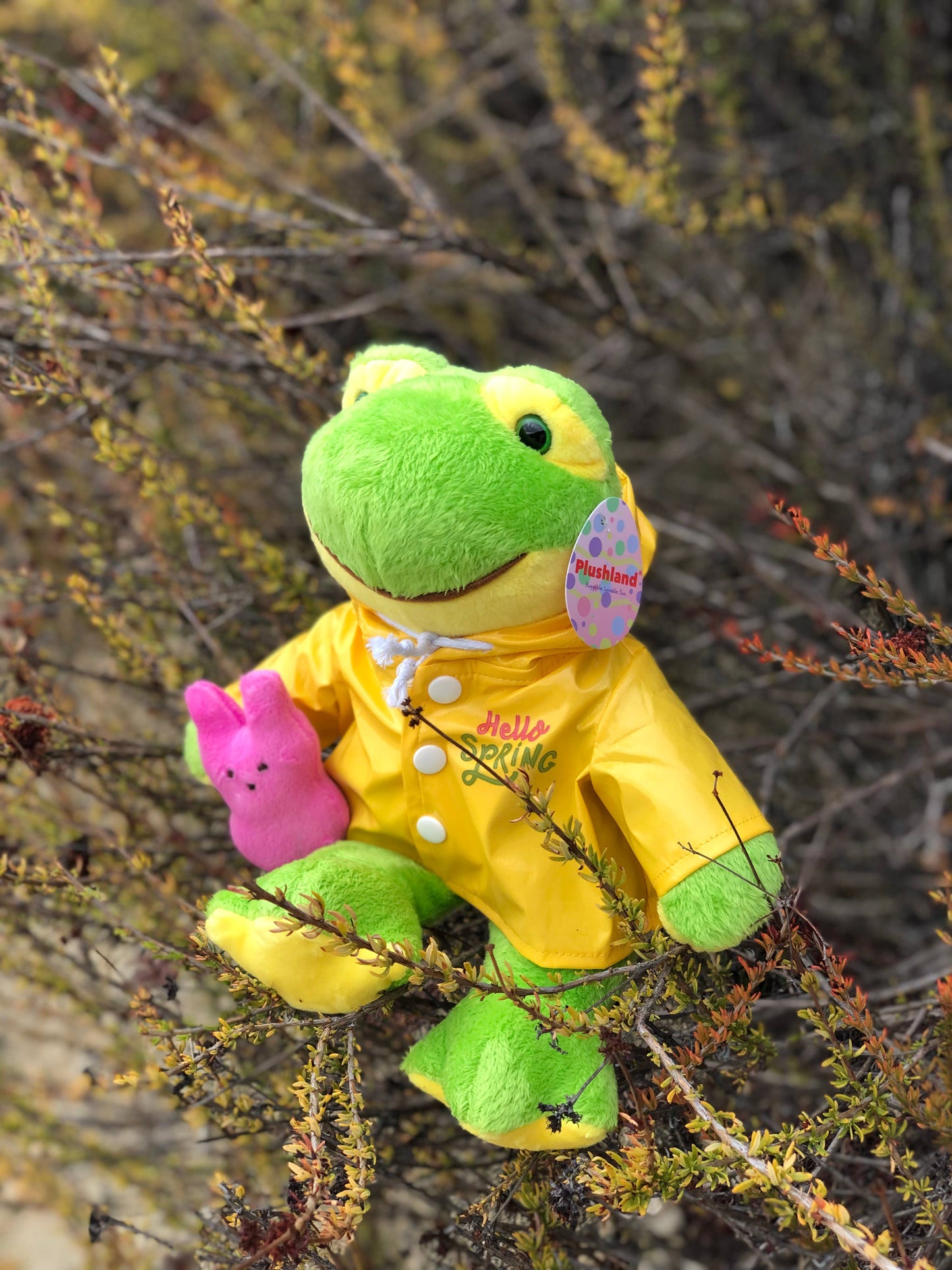 Easter Collection - Frog in a Raincoat Holding a Peep