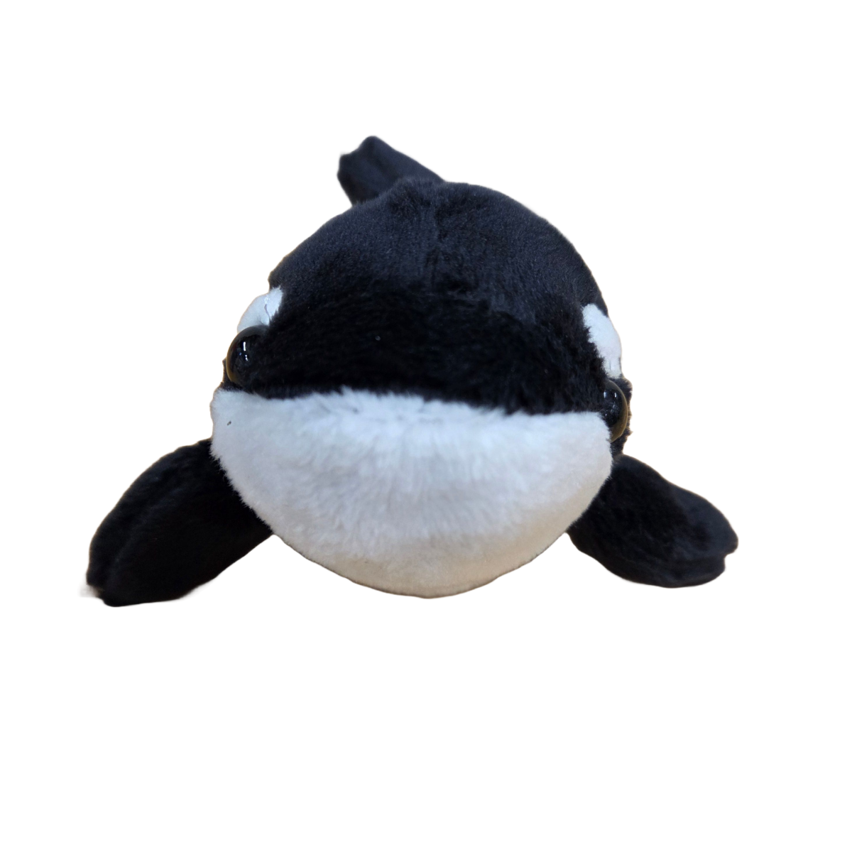 Finley the Canned Orca