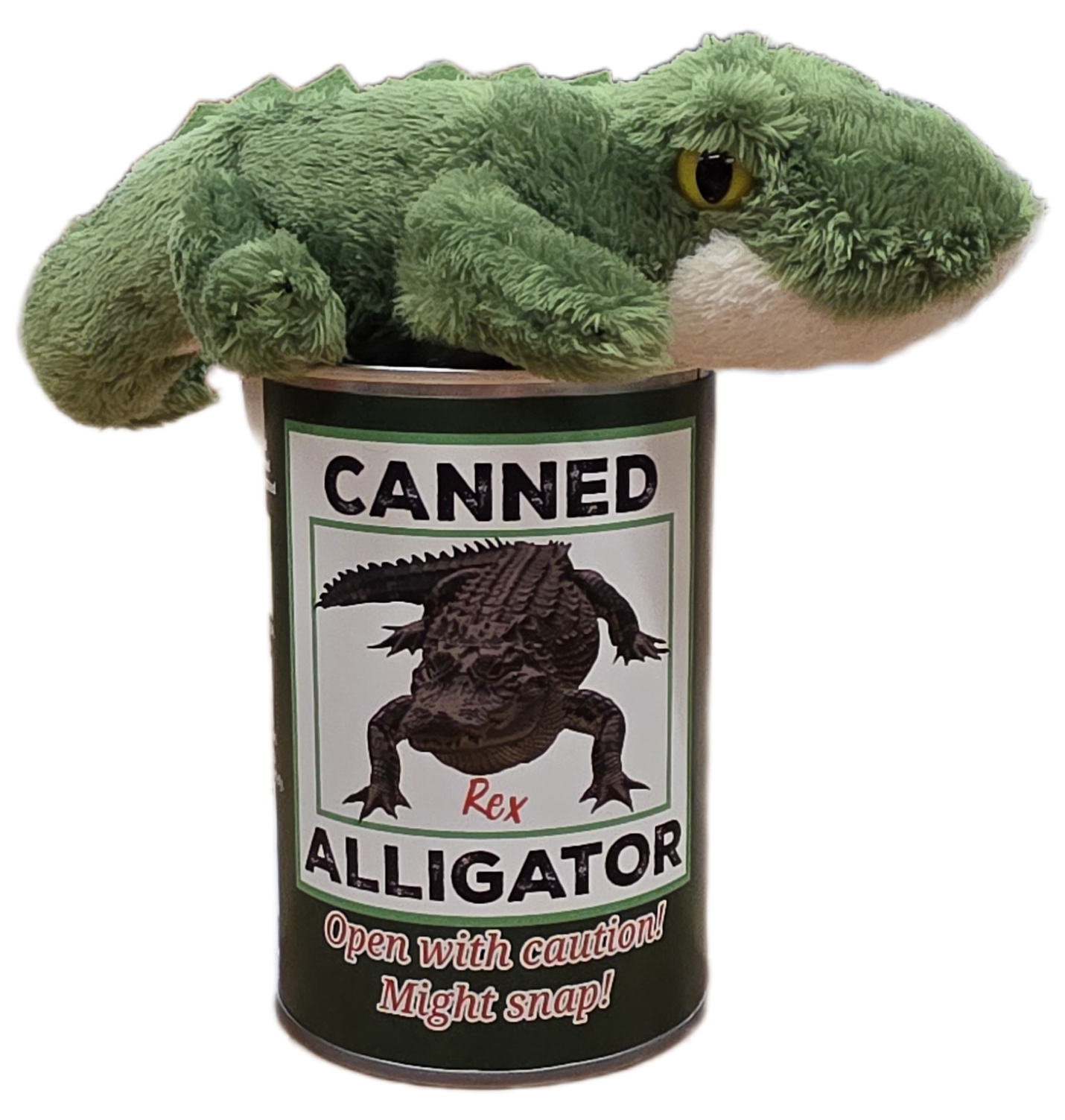 Rex the Canned Alligator