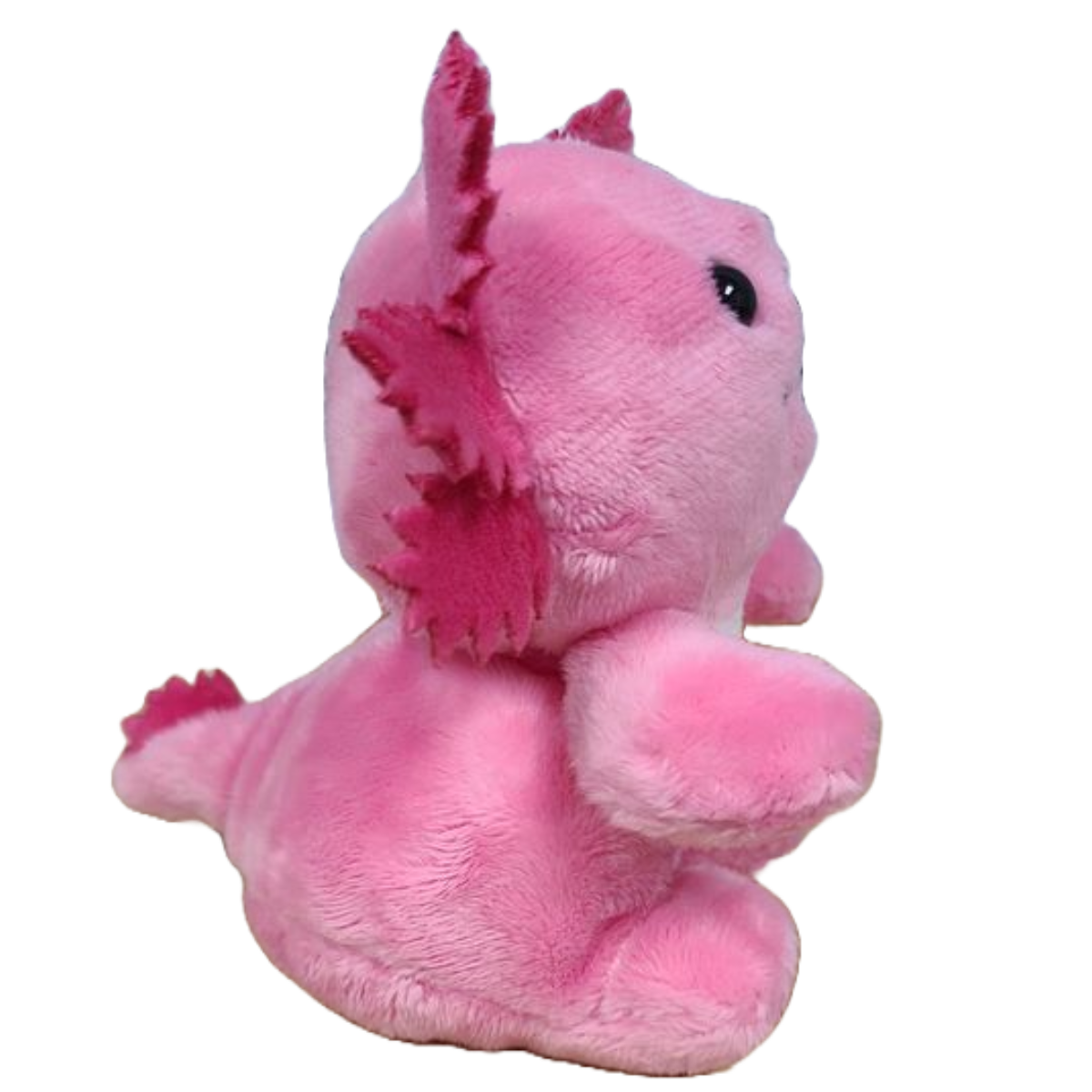 Canned Gifts - Boba the Canned Axolotl