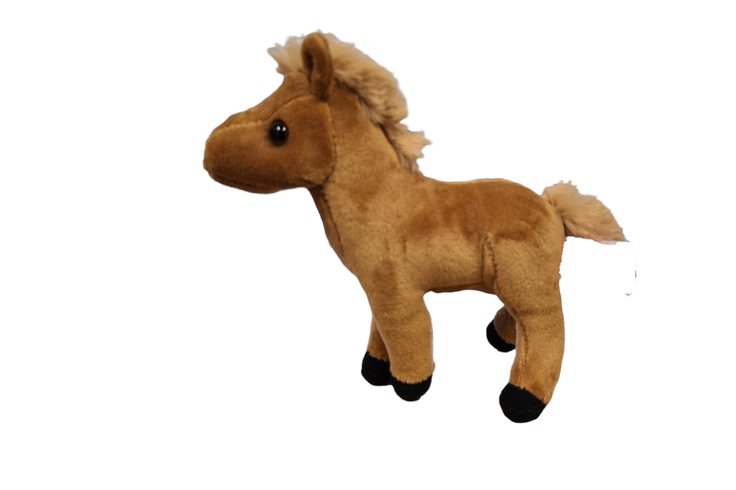 Canned Gifts - Spirit the Canned Horse