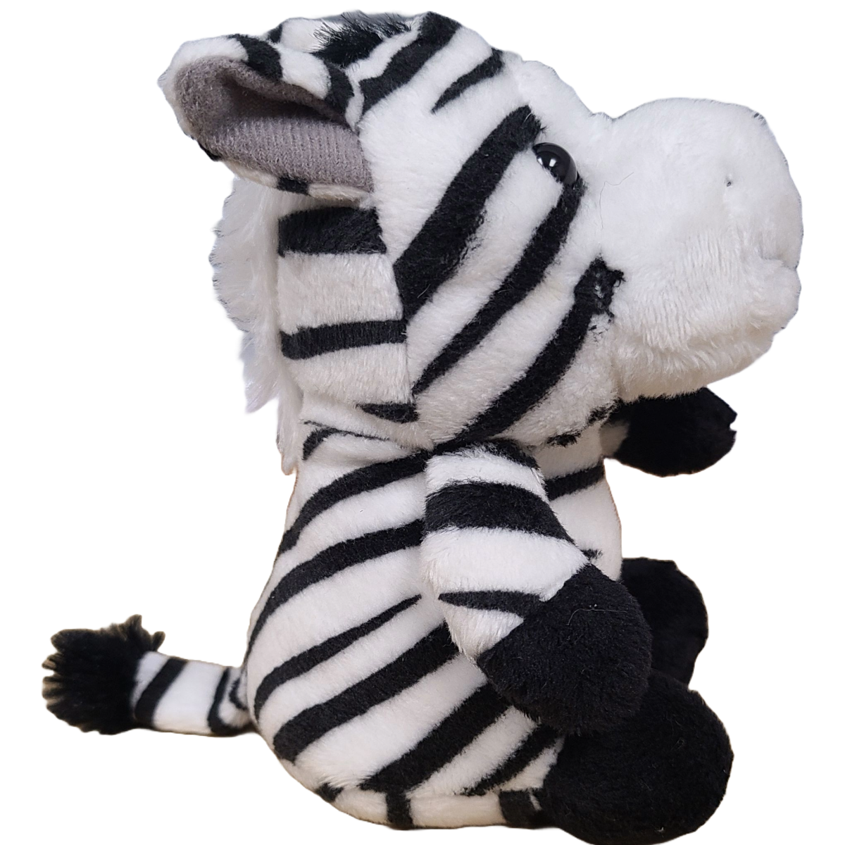 Coco the Canned Zebra