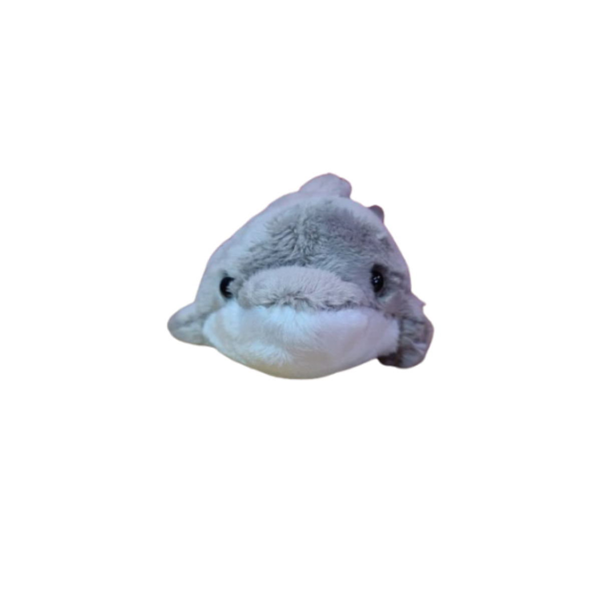 Flip the Canned Dolphin