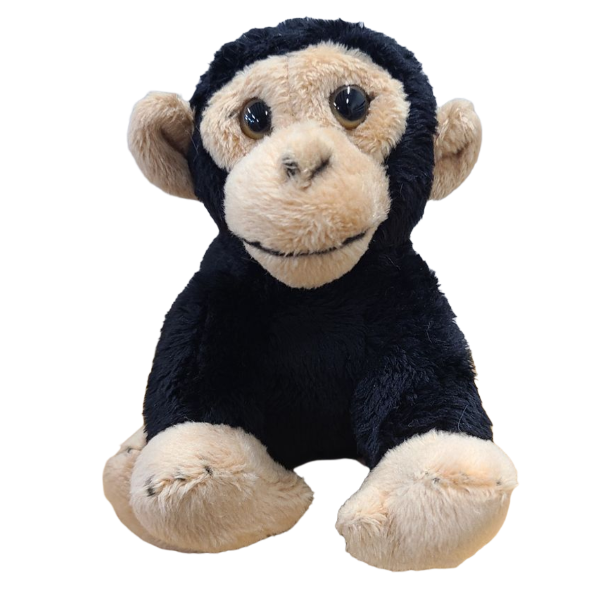 Maisie the Canned Chimpanzee