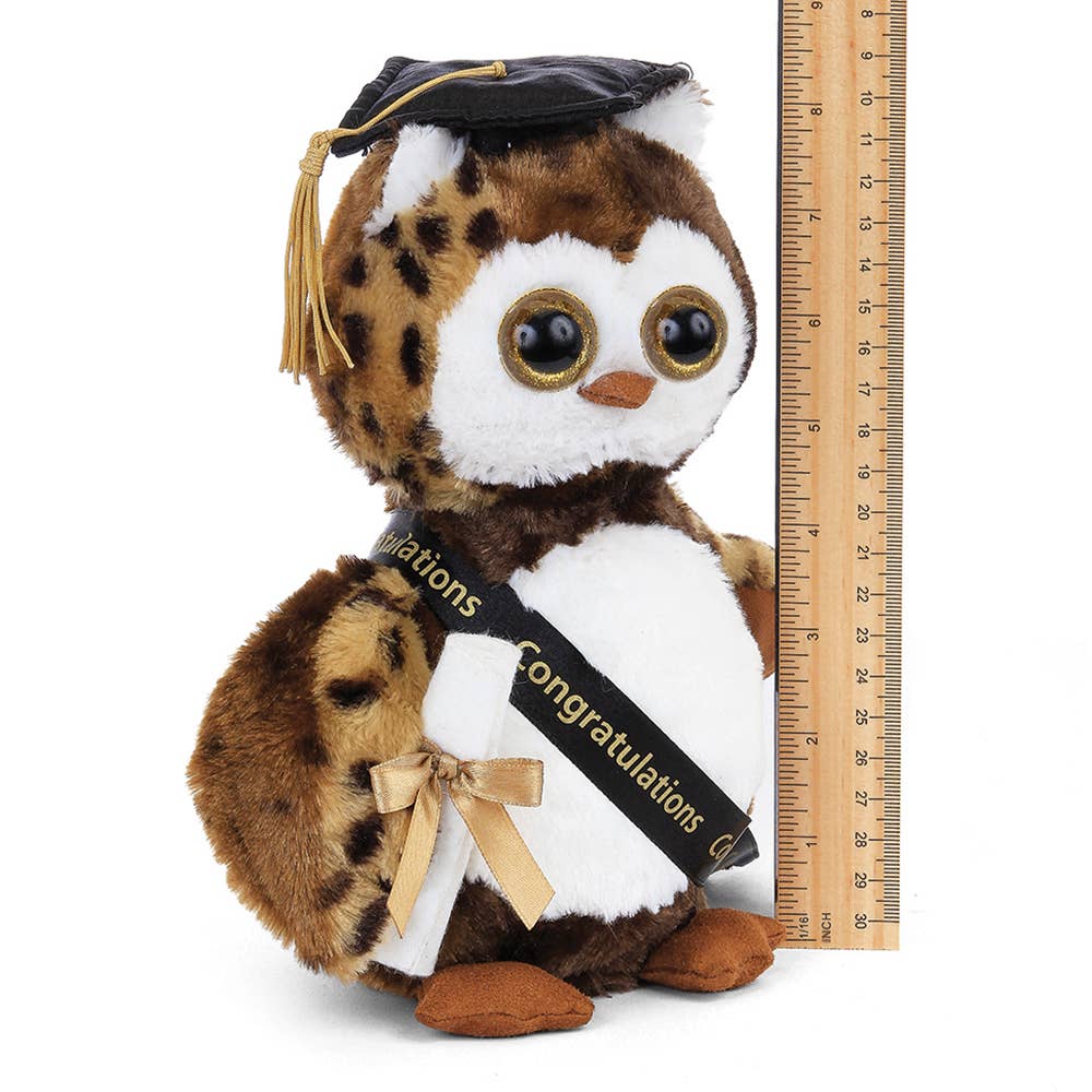 Bearington Collection - Wisdom the Graduation Owl