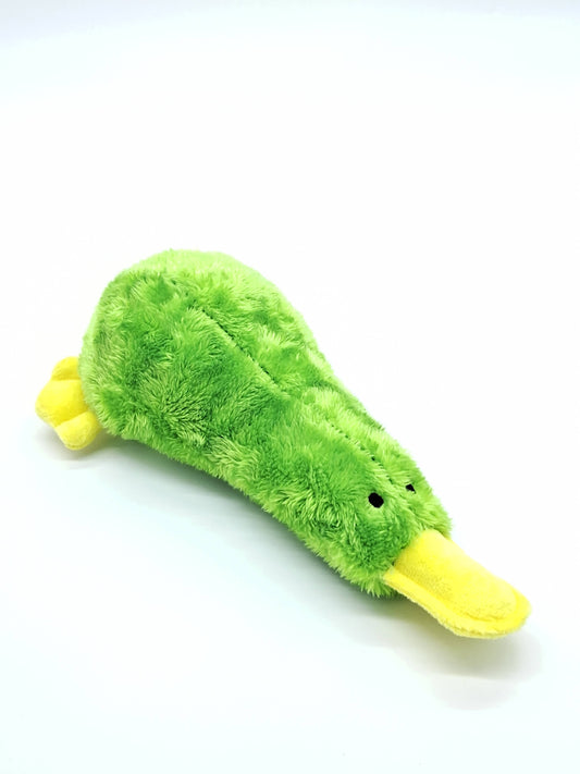 Toys N Treats Box - Platz the Platypus Plush Pet Toy for Cats/Dogs: Green