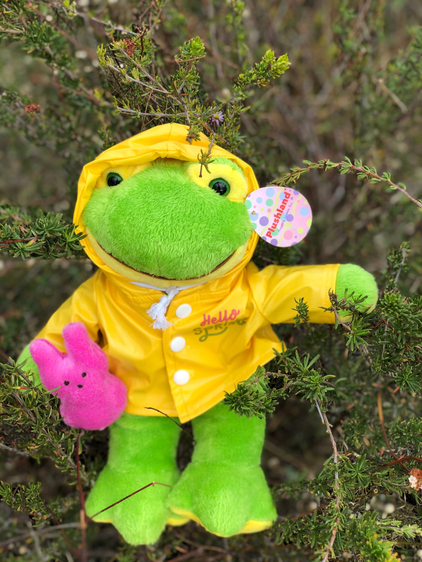 Easter Collection - Frog in a Raincoat Holding a Peep