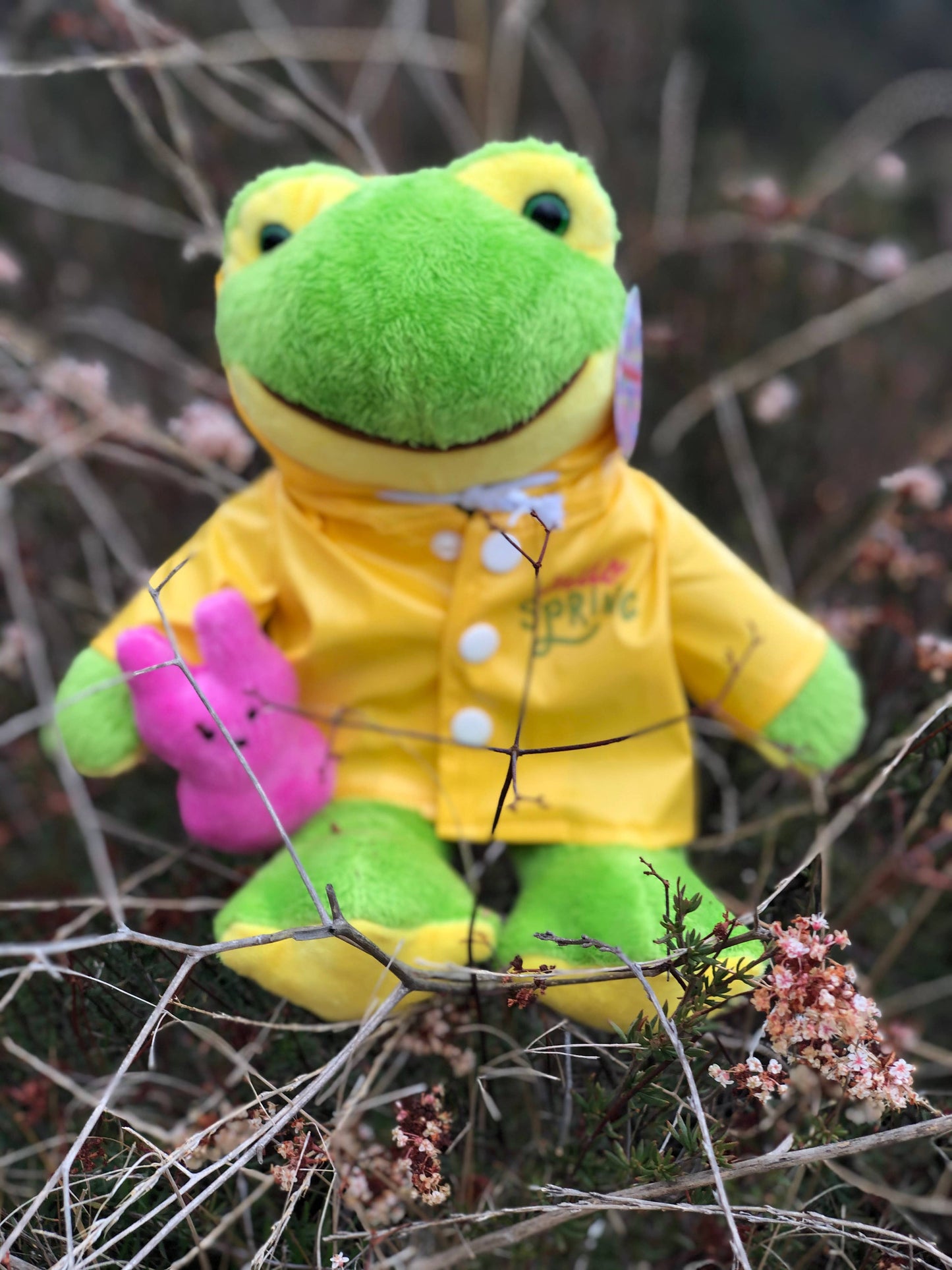 Easter Collection - Frog in a Raincoat Holding a Peep