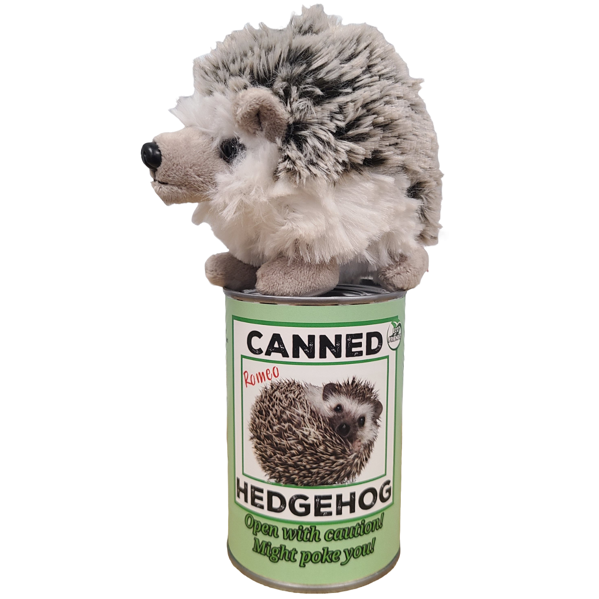 Canned Gifts - Romeo the Canned Hedgehog