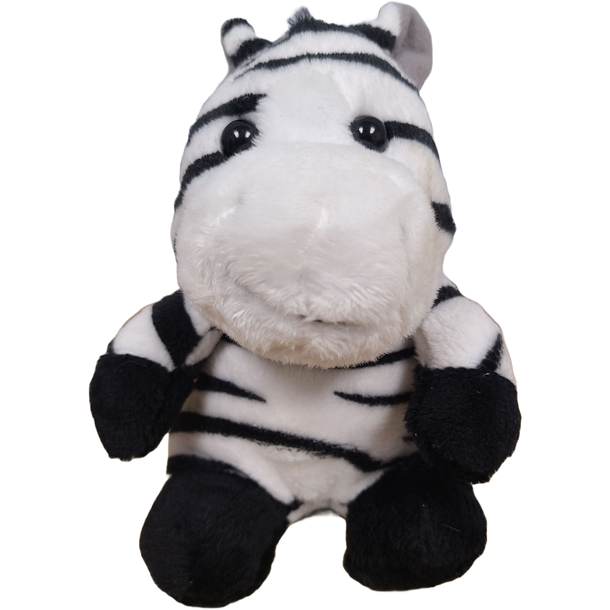 Coco the Canned Zebra