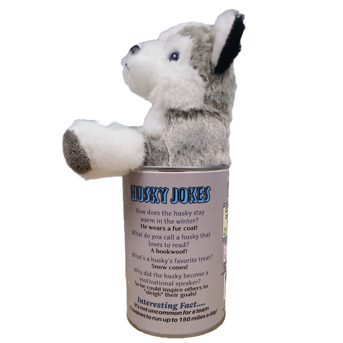 Duke the Canned Husky