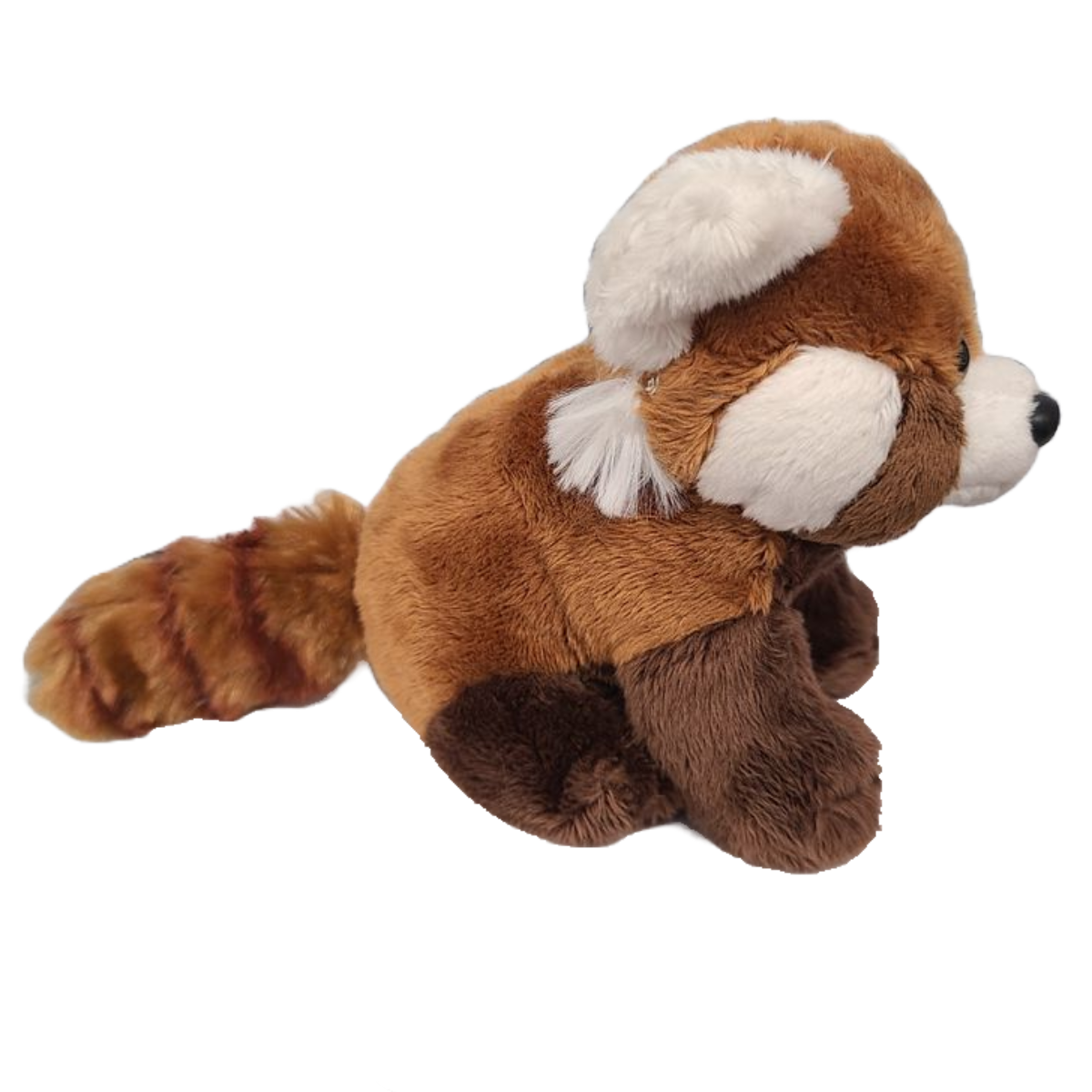 Raj the Canned Red Panda