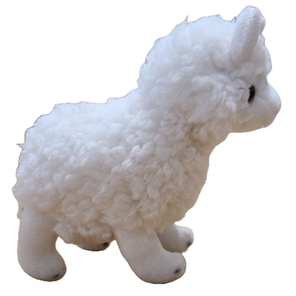 Canned Gifts - Spitfire the Canned Alpaca
