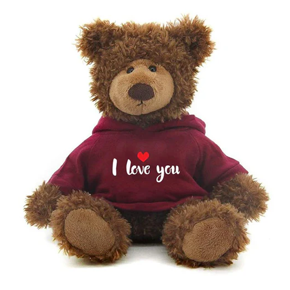 Love Collection - Ryan the Chocolate Teddy Bear in a Burgundy Hoodie