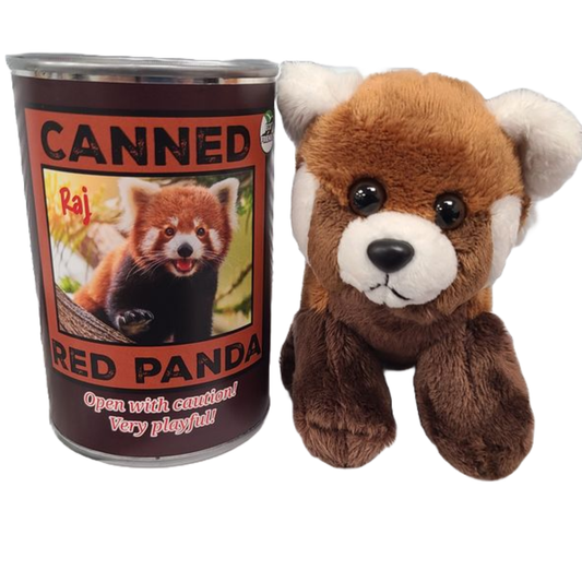 Raj the Canned Red Panda