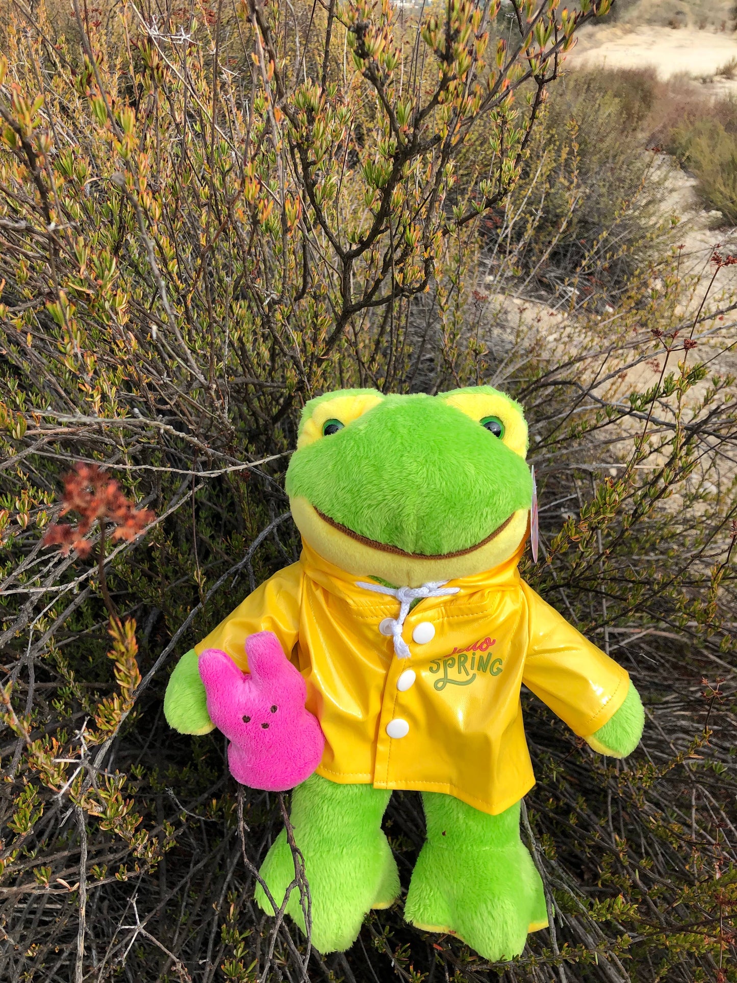 Easter Collection - Frog in a Raincoat Holding a Peep