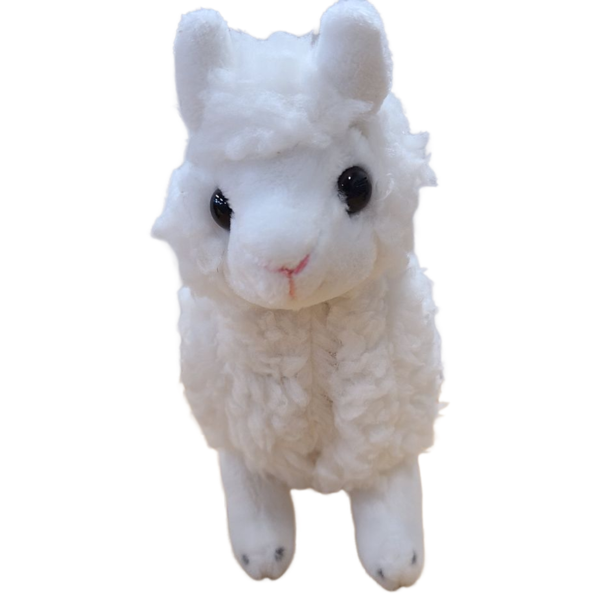 Canned Gifts - Spitfire the Canned Alpaca