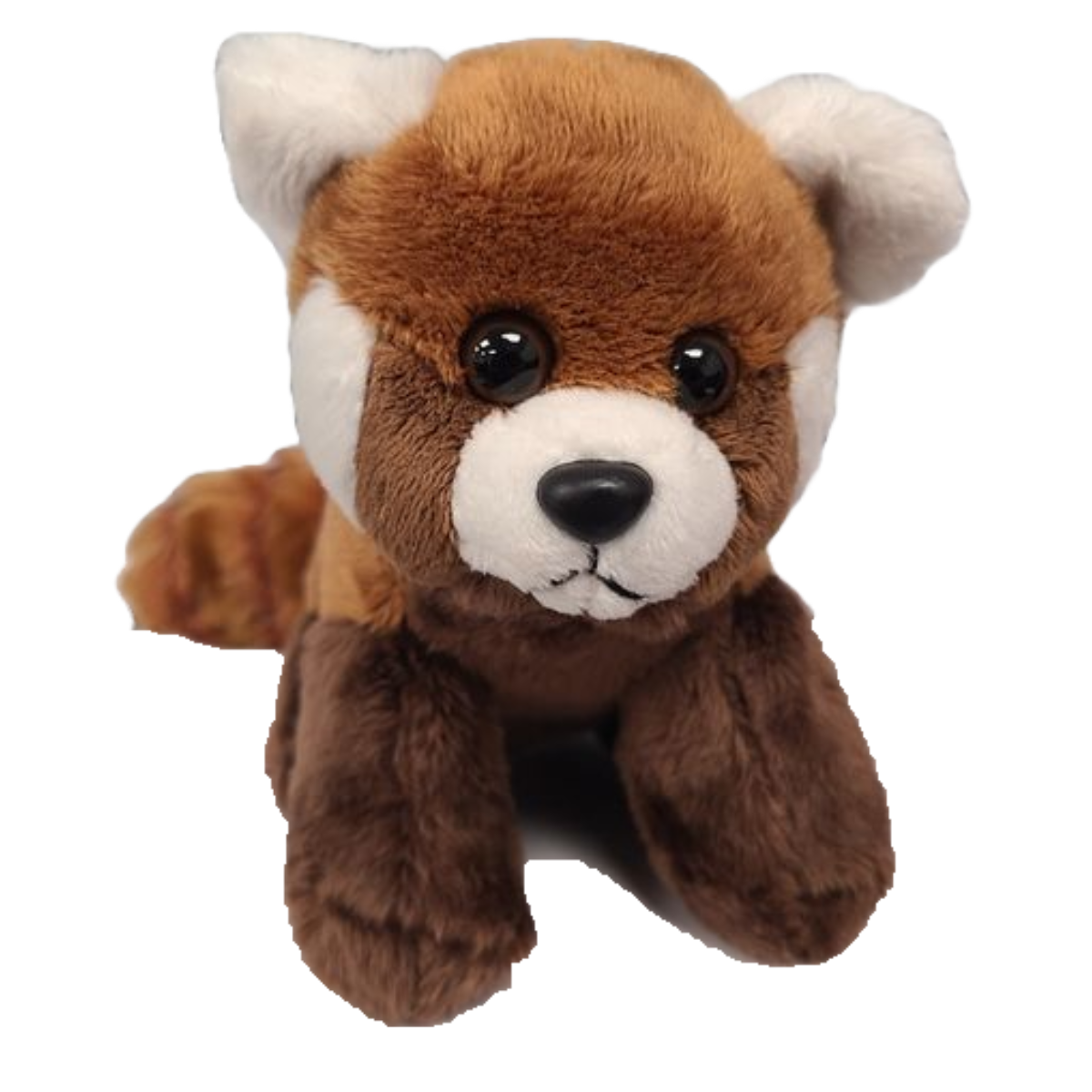 Raj the Canned Red Panda