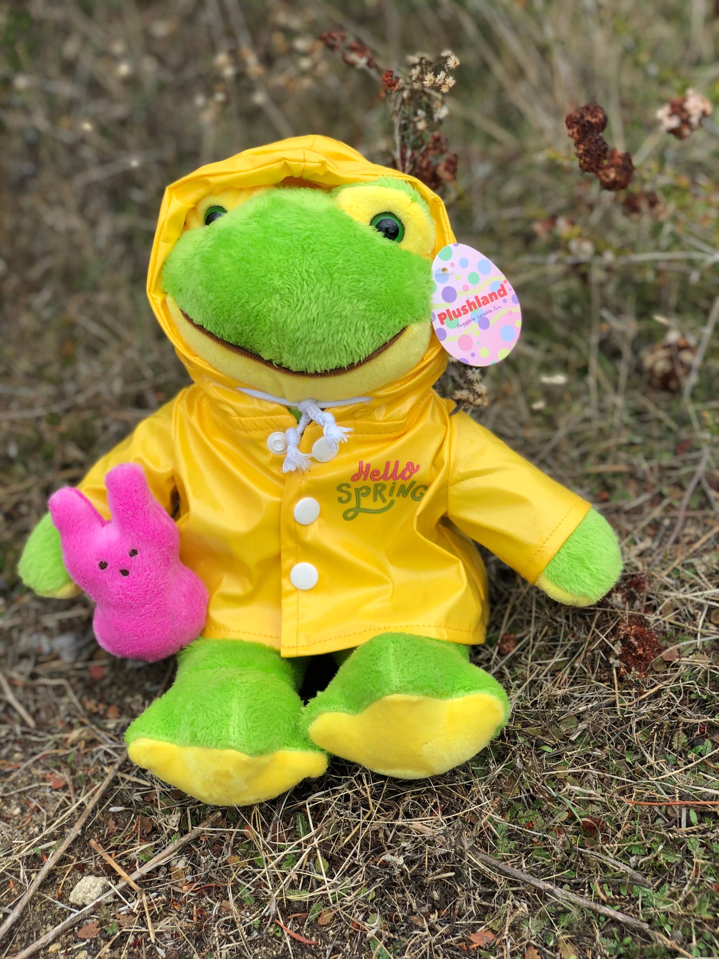 Easter Collection - Frog in a Raincoat Holding a Peep