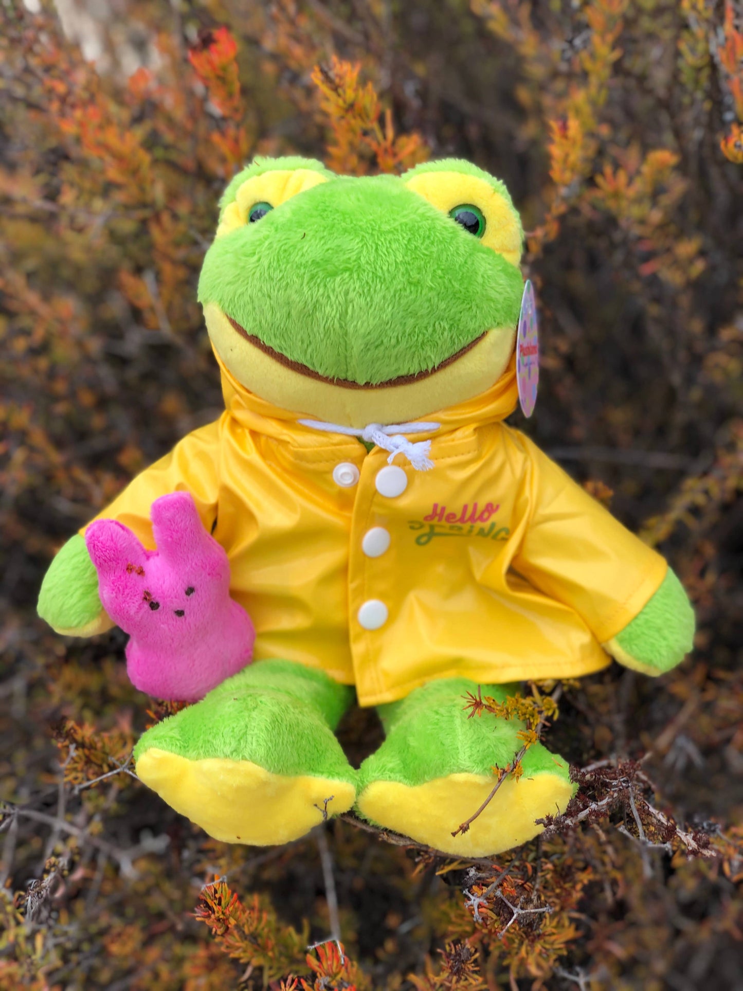 Easter Collection - Frog in a Raincoat Holding a Peep