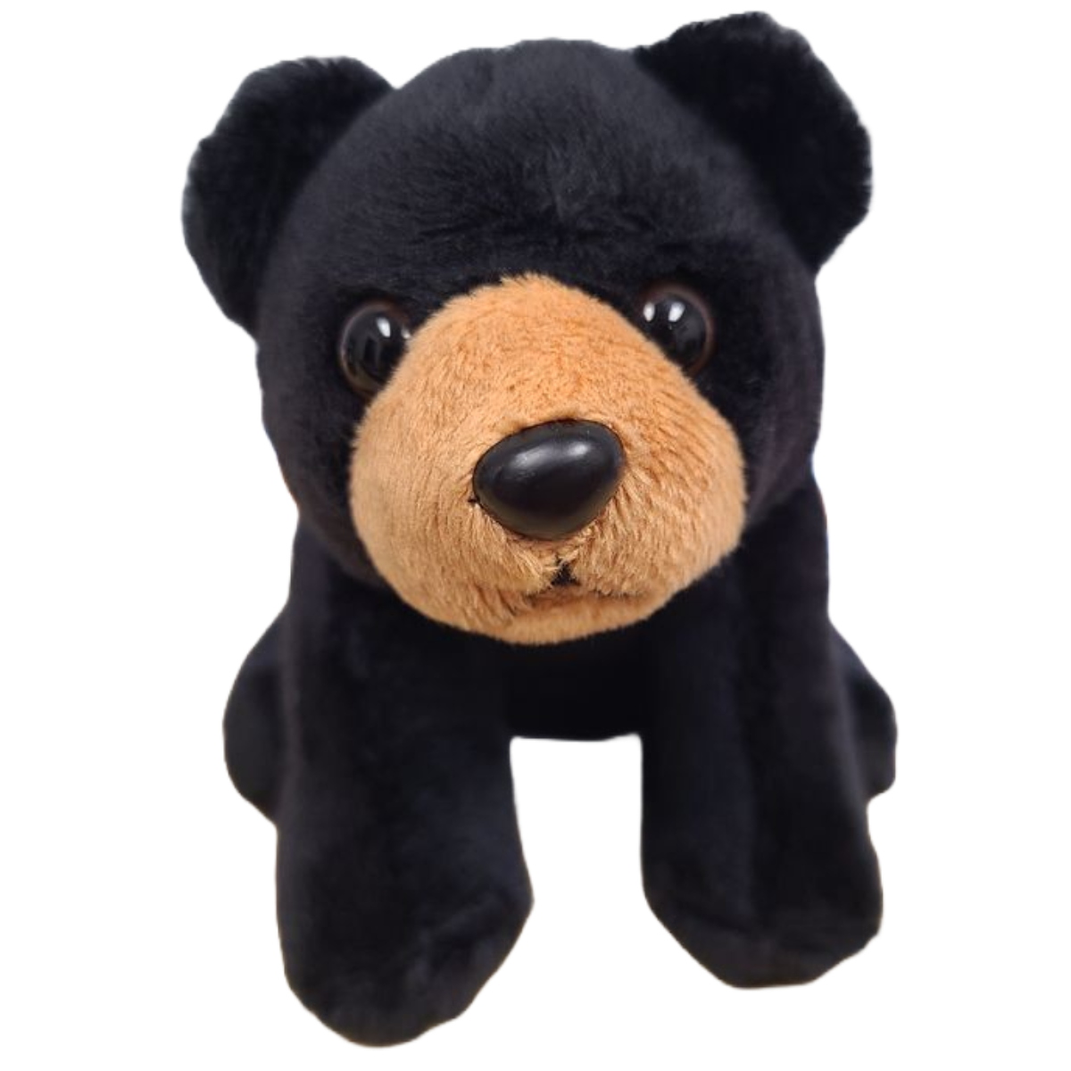 Canned Gifts - Russ the Canned Black Bear