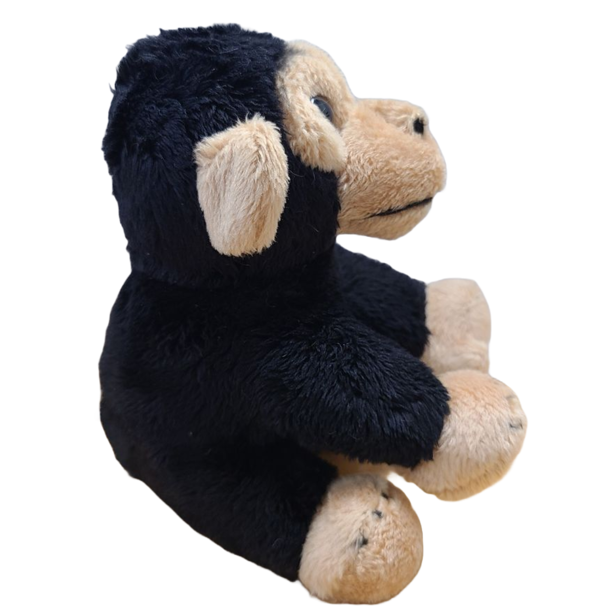Maisie the Canned Chimpanzee